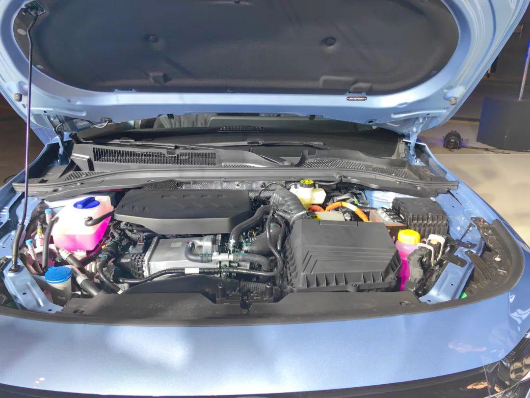 1704378491947636.jpg 6.jpg