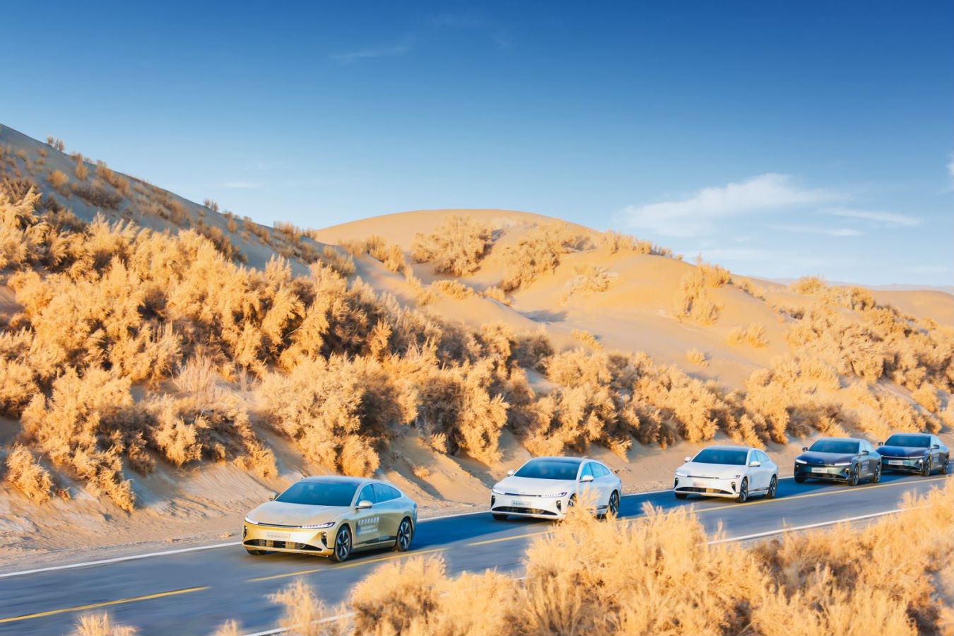 1704685950677130.jpeg 8fe1833e8v339281ea6ae03b0674e31f.jpeg