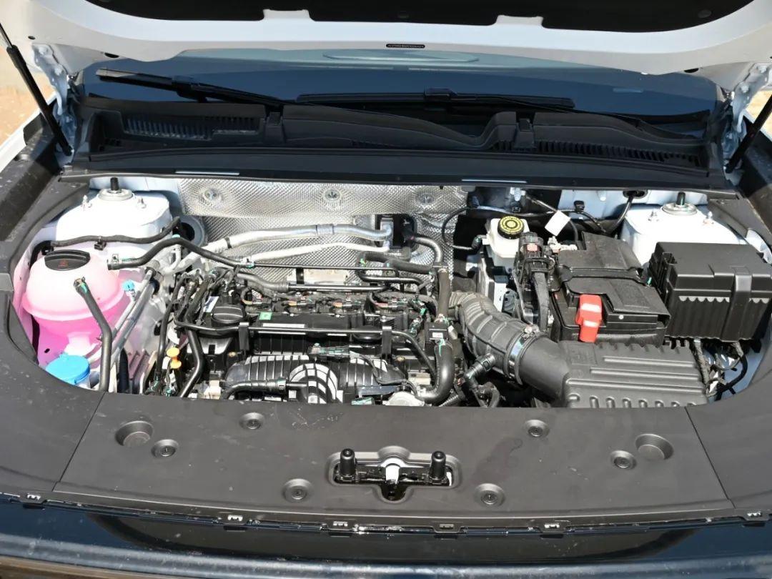 1706357264288394.jpg 9.jpg